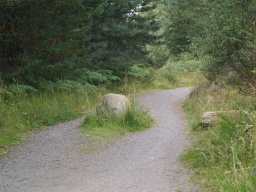 Image on trail